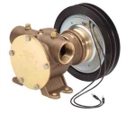 Jabsco 118700005 Electro-Magnetic Clutch Pump